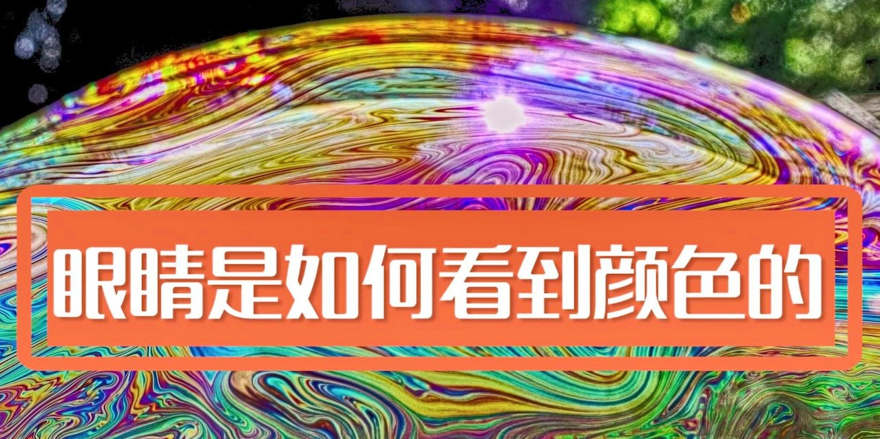 人類是如何看顏色的，影響人眼分辨顏色的因素有哪些?